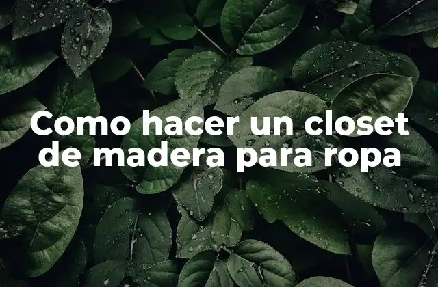 Como Hacer un Closet de Madera para Ropa