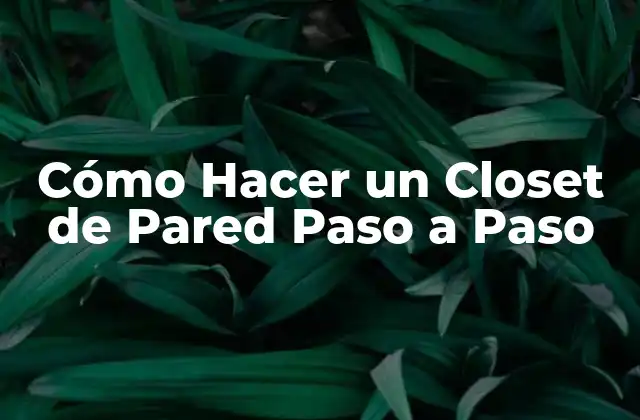 Cómo Hacer un Closet de Pared Paso a Paso
