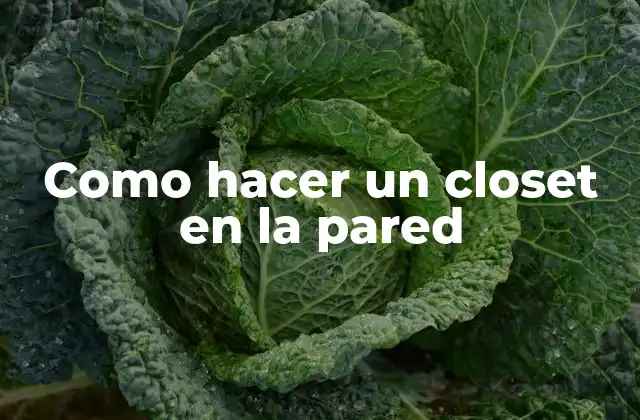 Como Hacer un Closet en la Pared