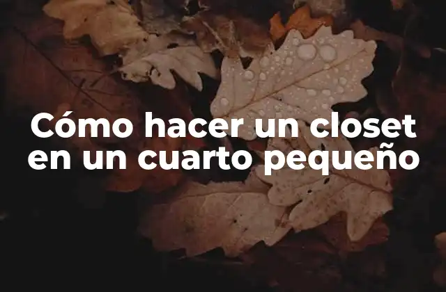 Cómo Hacer un Closet en un Cuarto Pequeño