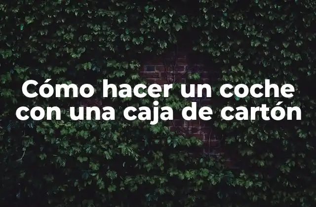 Cómo Hacer un Coche con una Caja de Cartón
