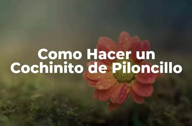 Como Hacer un Cochinito de Piloncillo