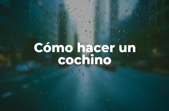 Cómo Hacer un Cochino