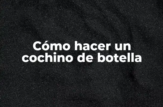 Cómo Hacer un Cochino de Botella 2 ¿Qué es un cochino de botella?
