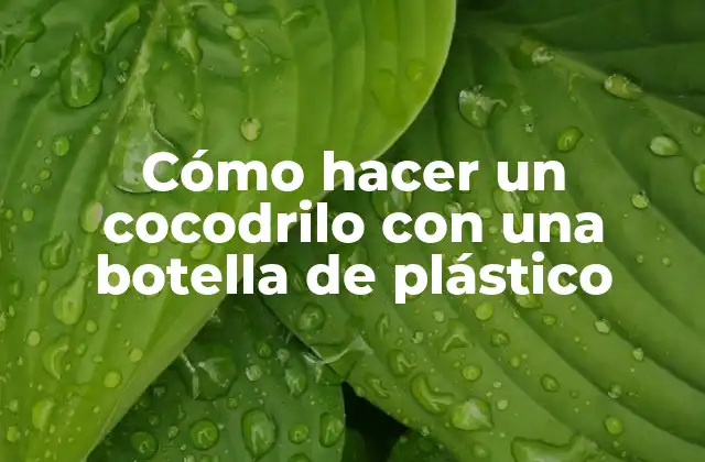Cómo Hacer un Cocodrilo con una Botella de Plástico