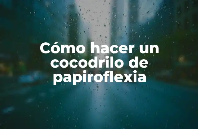 ¿Qué es papiroflexia?