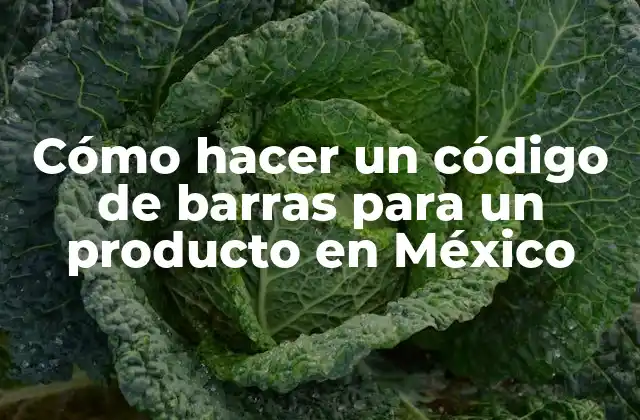 Cómo Hacer un Código de Barras para un Producto en México