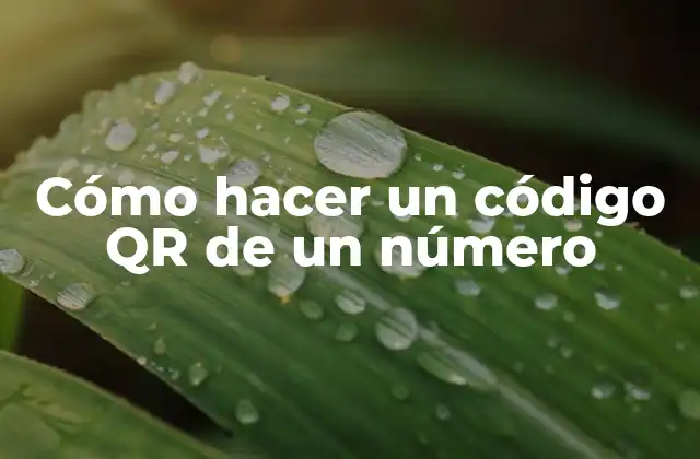 Cómo Hacer un Código Qr de un Número