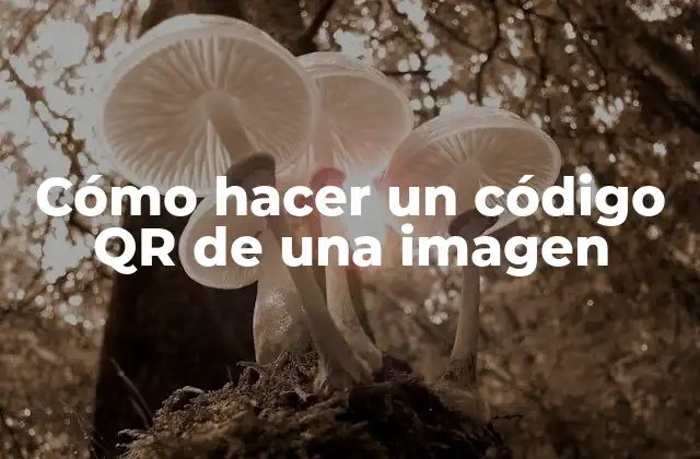 Cómo Hacer un Código Qr de una Imagen
