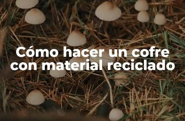 Cómo Hacer un Cofre con Material Reciclado 2 Cómo hacer un cofre con material reciclado