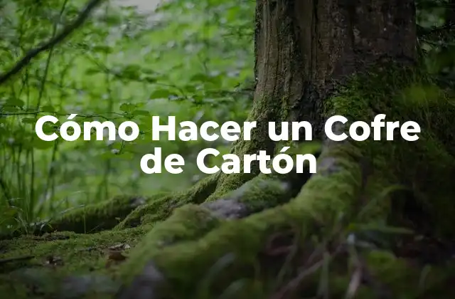 Cómo Hacer un Cofre de Cartón