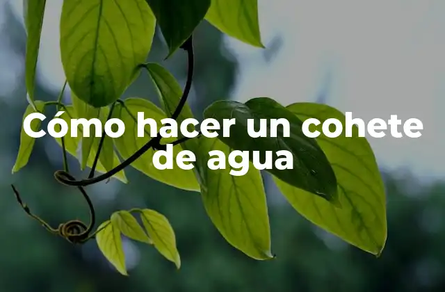 Cómo Hacer un Cohete de Agua