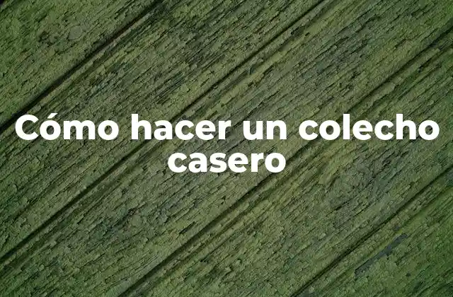 Cómo Hacer un Colecho Casero