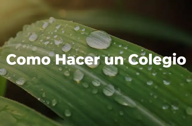 ¿Qué es un Colegio y para qué Sirve?