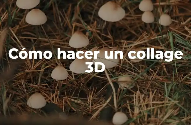 Cómo Hacer un Collage 3d