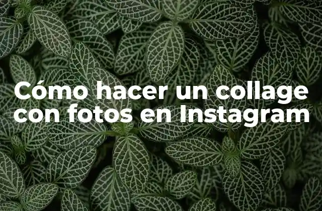 Cómo Hacer un Collage con Fotos en Instagram