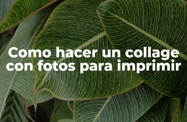 Como Hacer un Collage con Fotos para Imprimir