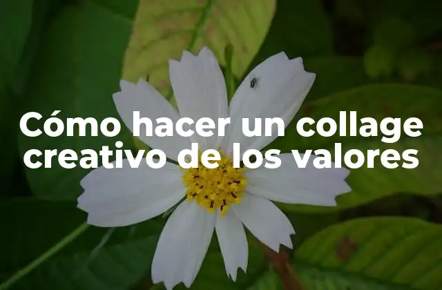 Cómo Hacer un Collage Creativo de los Valores