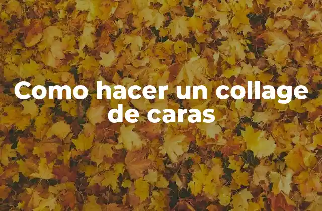 ¿Qué es un collage de caras?