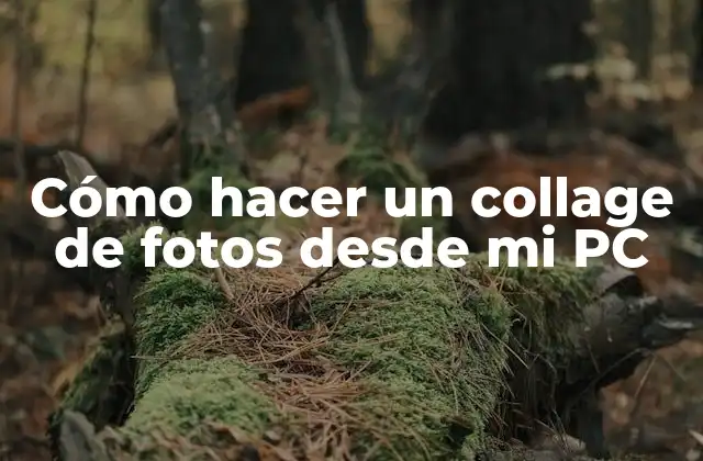 Cómo hacer un collage de fotos desde mi PC