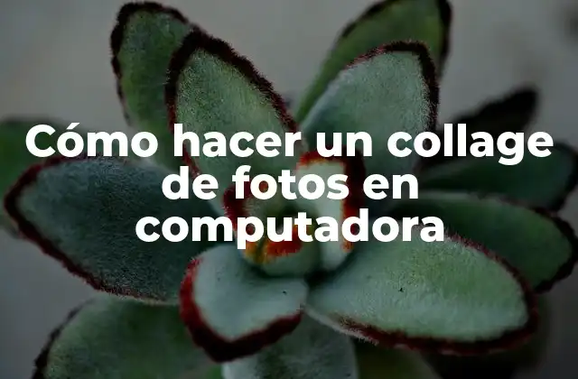 Cómo Hacer un Collage de Fotos en Computadora