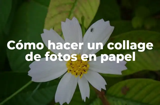 Cómo Hacer un Collage de Fotos en Papel