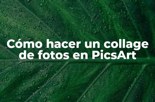 Cómo Hacer un Collage de Fotos en Picsart