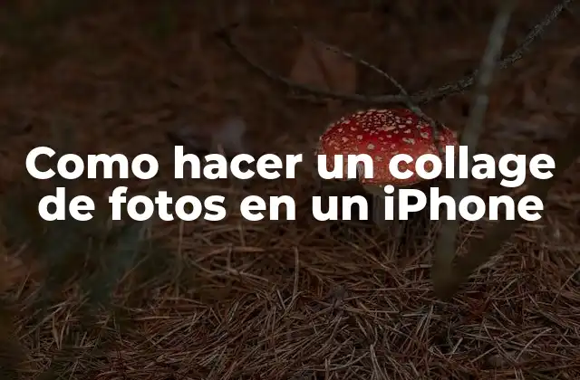 Como Hacer un Collage de Fotos en un Iphone