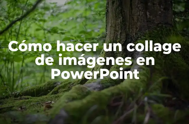 Cómo Hacer un Collage de Imágenes en Powerpoint 2 ¿Qué es un collage de imágenes en PowerPoint?