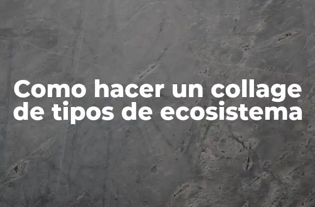 Como Hacer un Collage de Tipos de Ecosistema
