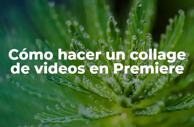 Cómo Hacer un Collage de Videos en Premiere