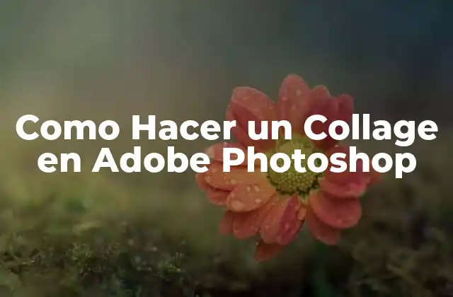 Qué es un Collage en Adobe Photoshop y Para Qué Sirve
