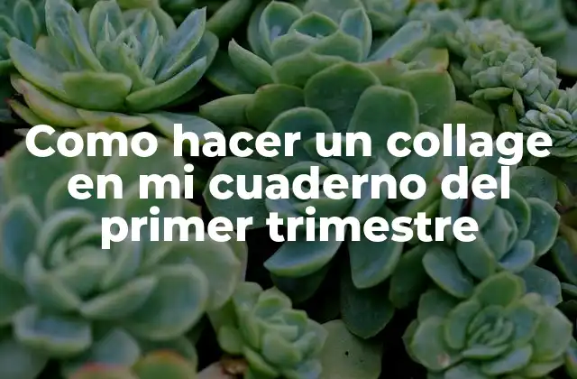¿Qué es un collage y para qué sirve en un cuaderno del primer trimestre?