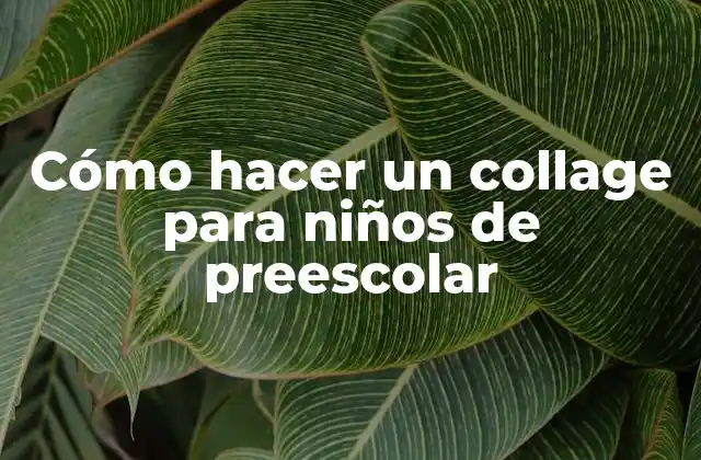 Cómo Hacer un Collage para Niños de Preescolar