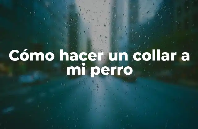 Cómo Hacer un Collar a Mi Perro