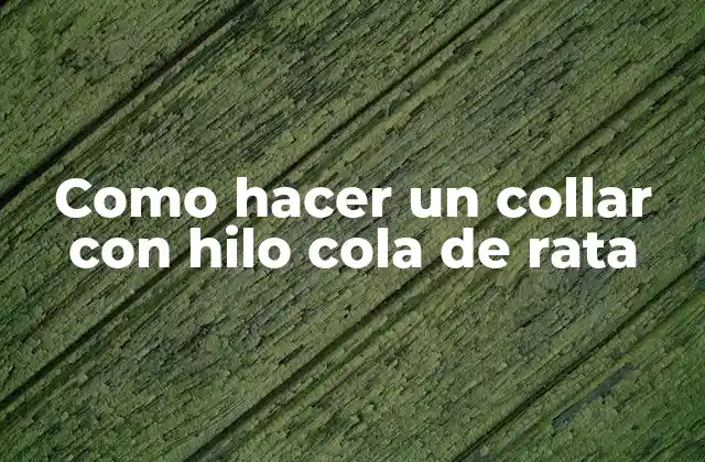 Como Hacer un Collar con Hilo Cola de Rata 2 Hilo cola de rata, ¿qué es y para qué sirve?