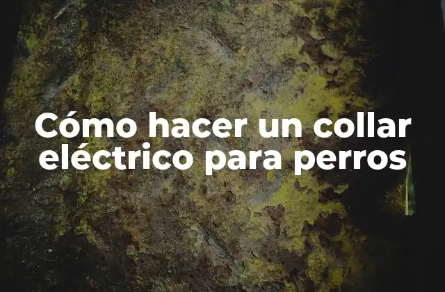 Cómo Hacer un Collar Eléctrico para Perros
