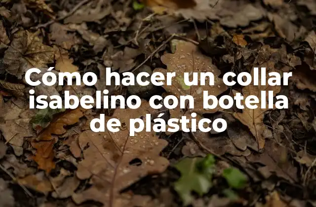 Cómo Hacer un Collar Isabelino con Botella de Plástico