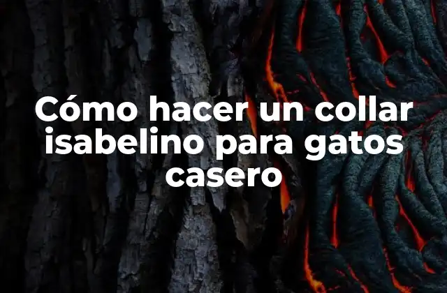 Cómo Hacer un Collar Isabelino para Gatos Casero