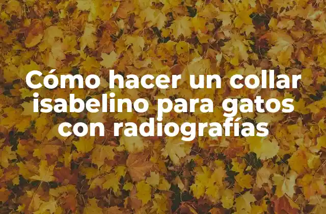 Cómo Hacer un Collar Isabelino para Gatos con Radiografías