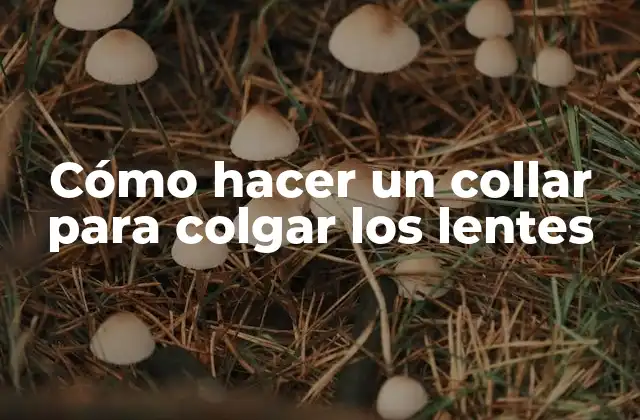 Cómo Hacer un Collar para Colgar los Lentes