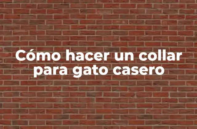 Cómo Hacer un Collar para Gato Casero