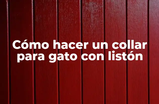 Cómo Hacer un Collar para Gato con Listón
