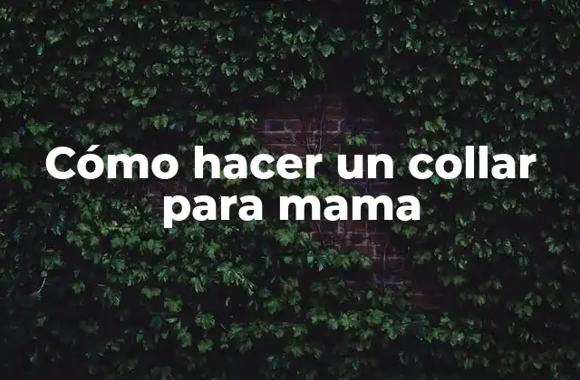 Cómo Hacer un Collar para Mama