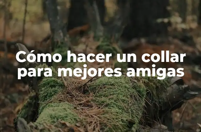 Cómo Hacer un Collar para Mejores Amigas