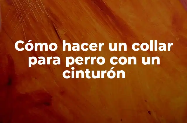Cómo Hacer un Collar para Perro con un Cinturón
