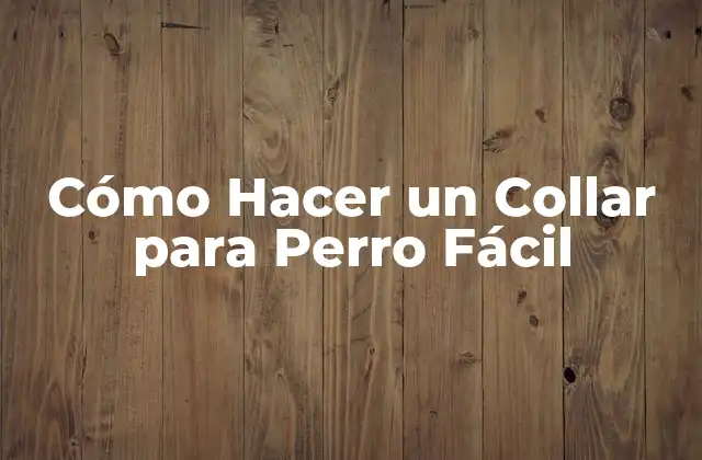 Cómo Hacer un Collar para Perro Fácil 2 ¿Qué es un Collar para Perro Fácil y para qué Sirve?