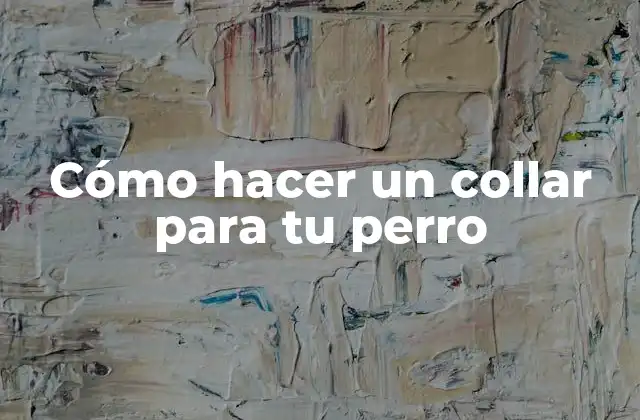 Cómo Hacer un Collar para Tu Perro