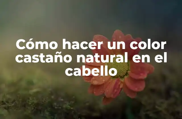 Cómo Hacer un Color Castaño Natural en el Cabello