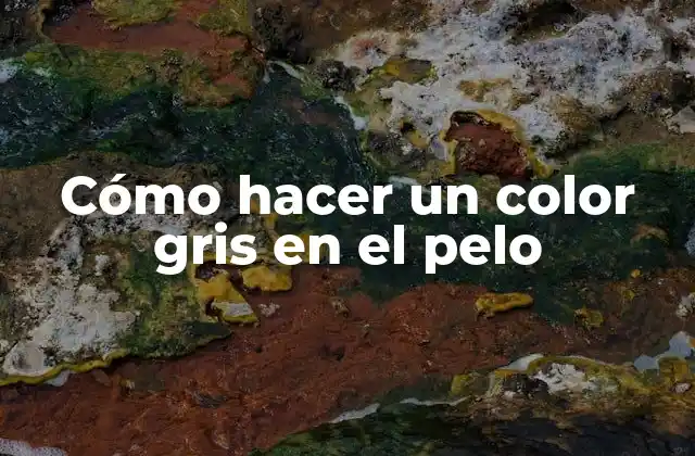 Cómo Hacer un Color Gris en el Pelo